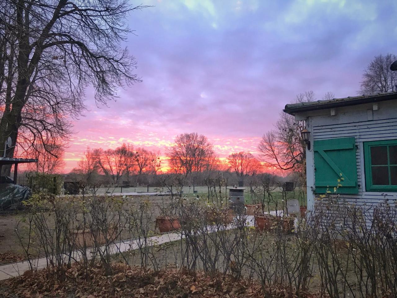 Hotel Landhaus Dessau Zewnętrze zdjęcie